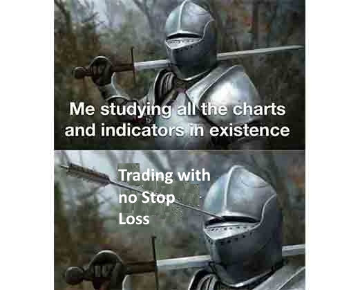 trading with no stop loss meme